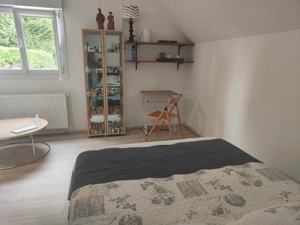 Suite Privee Avec Vue Sur Le Jardin Douai Buitenkant foto